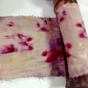 Formation : Les bases de la teinture naturelle (3 jours) -                Du 3 au 5 octobre 2025 – Image 6
